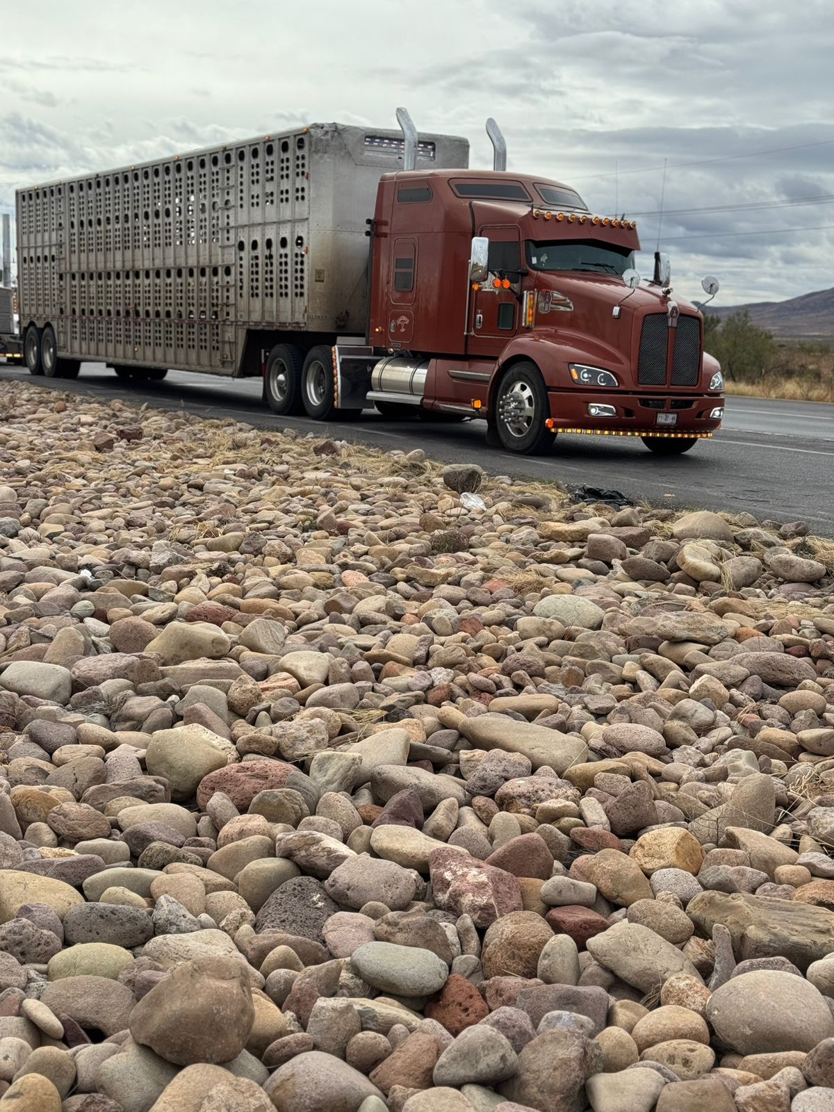 Trailer rojo para transporte de ganado de Transportes Alonso's
