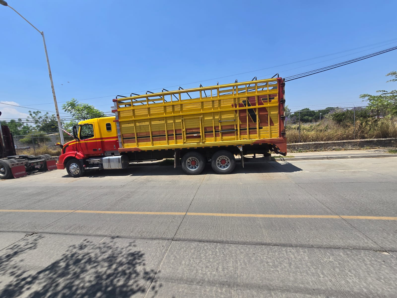 Torton amarillo de Transportes Alonso's para traslado de ganado