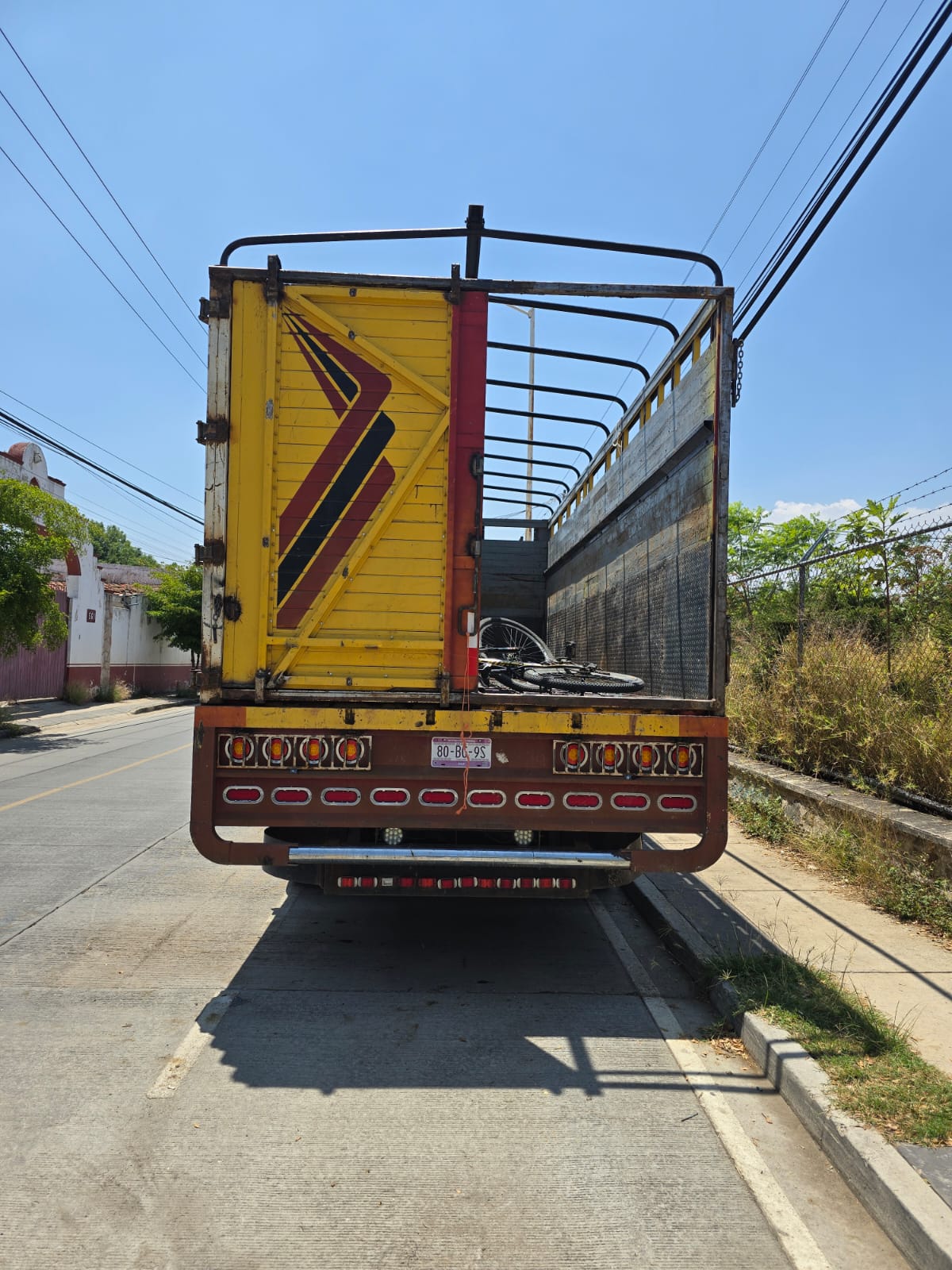 Parte trasera de torton ganadero de Transportes Alonso's